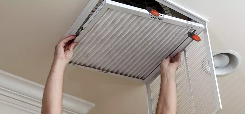 Our Insect Removal from Air Ducts Services in Fayetteville, NC