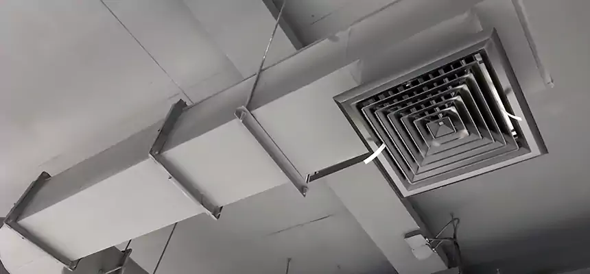 Our Pest Removal From Ducts Services in Fayetteville, NC