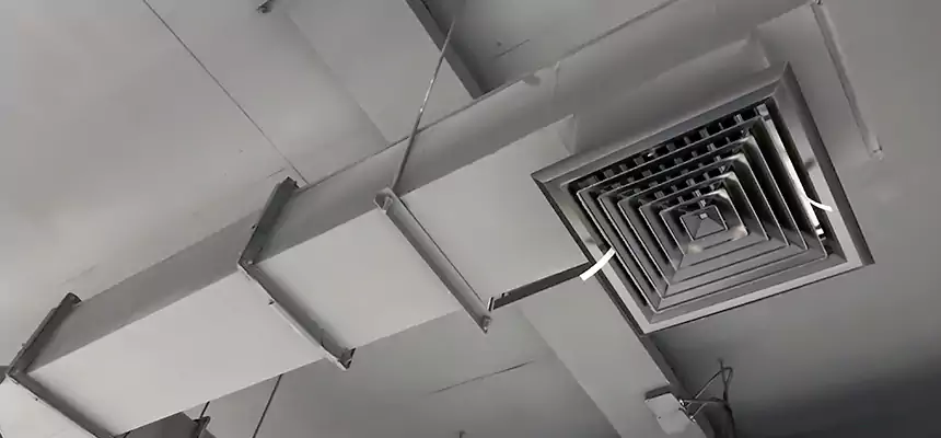 Our Rodent Droppings In Vents Services in Fayetteville, NC