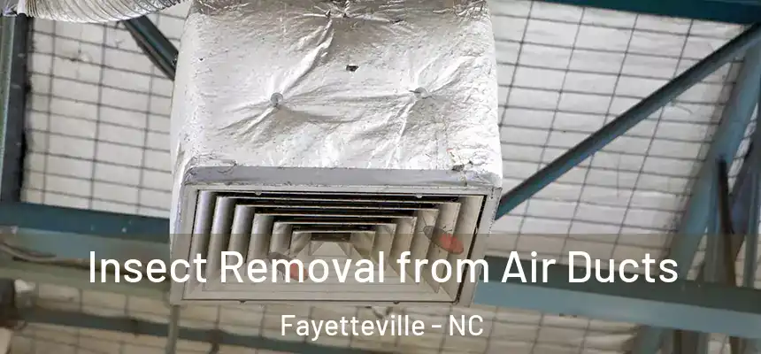  Insect Removal from Air Ducts Fayetteville - NC