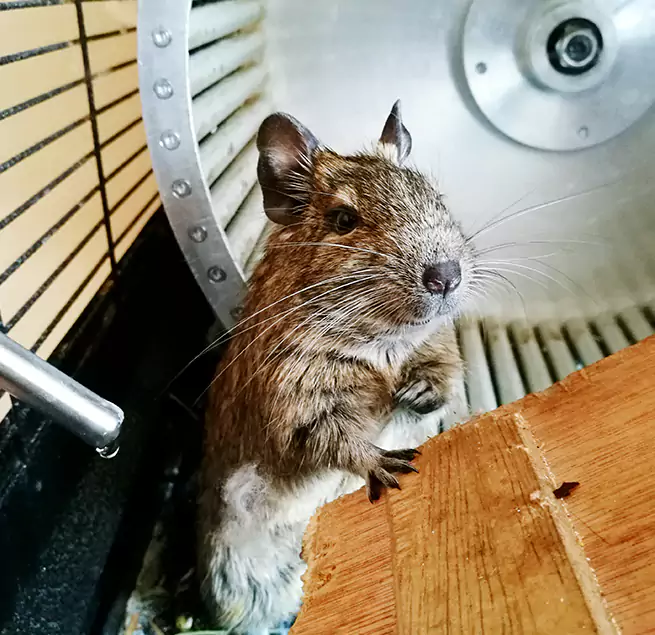 Why Homeowners & Businesses Trust Us Fayetteville, NC