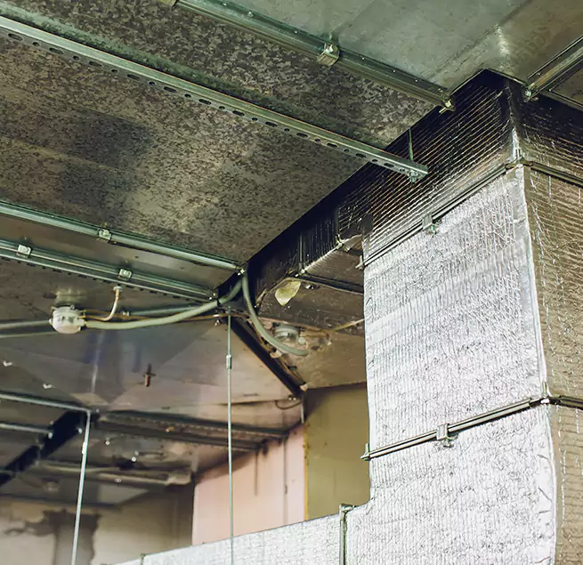 Why Homeowners & Businesses Trust Us in Fayetteville, NC?